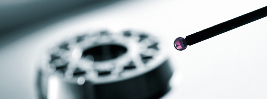 IQ3_LEISTUNGEN_110314_298_RGB_INTERNET